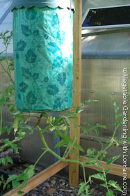 Topsy Turvy Upside Down Tomato Planter Topsy Turvy Upside Down Tomato Planter