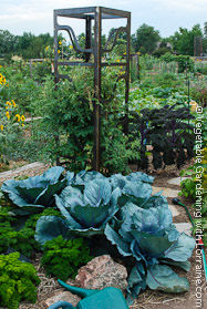 Welded Steel Art Trellis