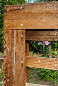 Corner Detail, Cedar Bean Trellis
