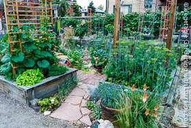 Built In Garden Trellis on Raised Beds