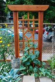 Vertical Vegetable Gardening: Trellis 3