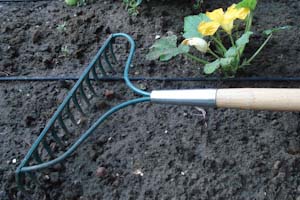 Level Rake Level Rake