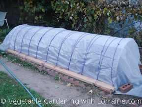 Hoop Tunnel to Extend Growing Season Hoop Tunnel to Extend Growing Season