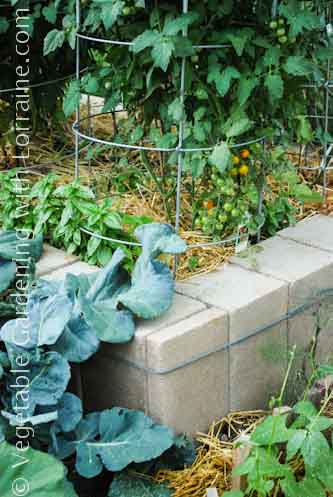 Cinder Block Raised Bed Garden