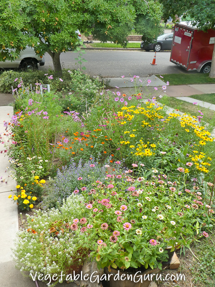 How To Attract Bees