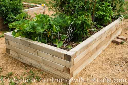 Raised Bed Garden Designs