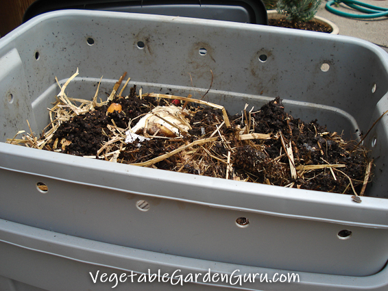 Worm Composting, Making A Worm Farm In Bathtub