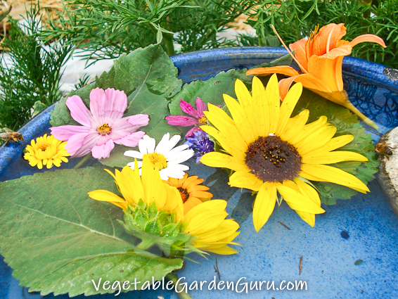 A blue birdbath with a sampling of the days flower blossoms attracts bees, seen around the edges