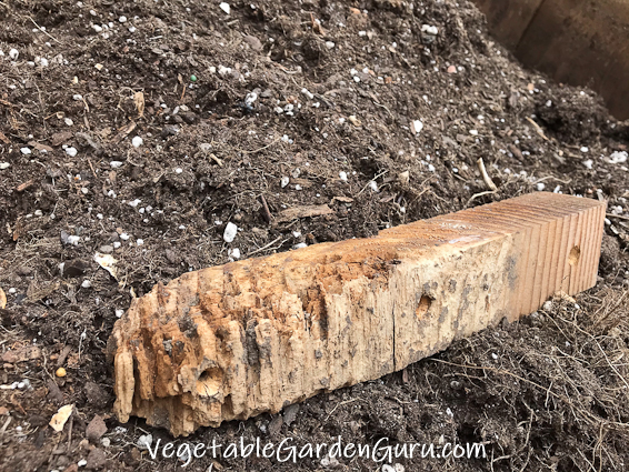Decaying raised bed bracket, eaten by fungi A bracket taken out of a 5 year old raised bed, digested down to splinters in the area that was below soil level