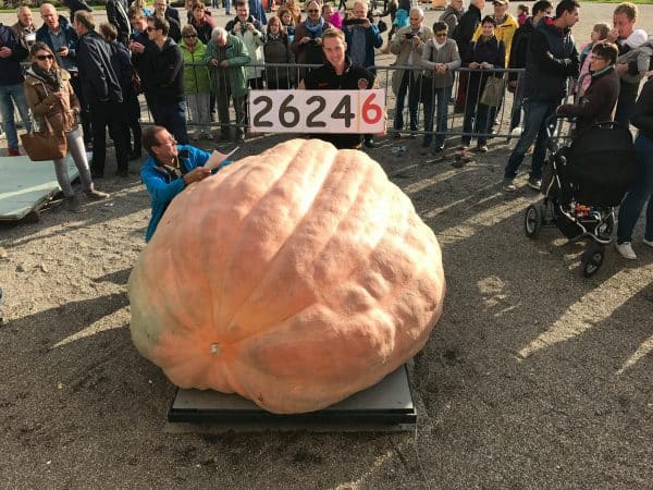 World record pumpkin grown by Ron Wallace in 2012, weighed in at 2009 pounds